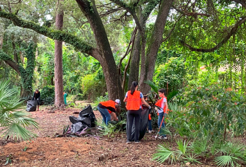 Two adults and one child in orange vests remove plants from around a tree. They are surrounded by brown leaves and green vegetation
