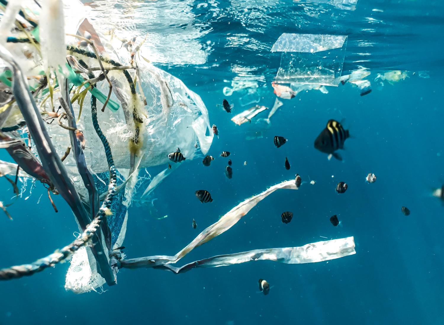 Plastic Bag in the Ocean