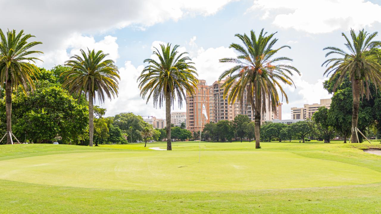 Granada Golf Course with palm trees/condos in the background