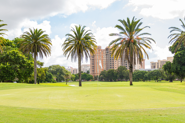 Pin + palm trees at Granada Golf Course