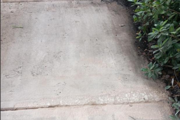 Sidewalk sanded to make even next to green shrubbery