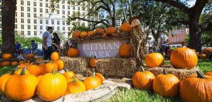 Pittman Park sign surrounded by pumpkins