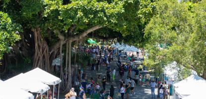 Gables Family Literacy Festival