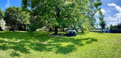 Panoramic view of Blue Road Neighborhood Park, green grass and large tree in the middle
