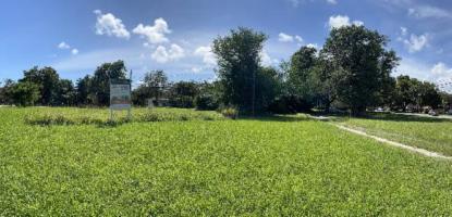 Panoramic view of Toledo and Alava Neighborhood Park, field of grass. Trees in the background