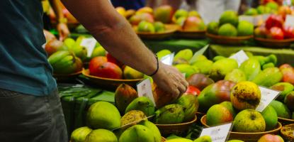 An arm reaches for a mango in an assorted pile of green, red, and yellow mangos