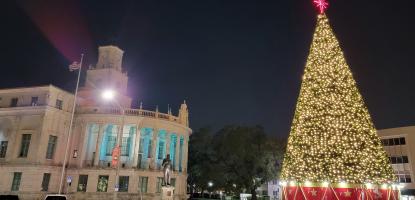 Photo of holiday tree in front of City Hall