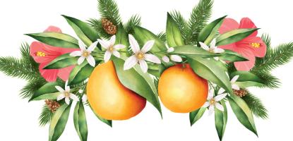 Oranges hang from arrangement of flowers and leaves