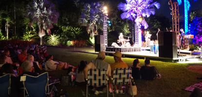 At night, audience sits on the lawn in front of a brightly lit stage with musicians playing