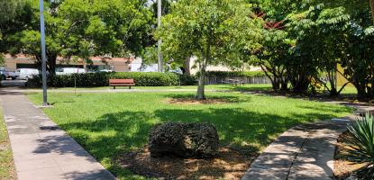 A tree casts shade on a grassy part of a park. The day is warm, sunny, and the blue sky is behind trees.