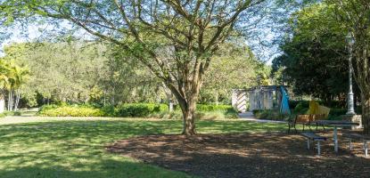 A tree stands in mulch surrounded by grass on a sunny day