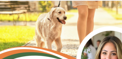 Melissa Castro profile below a golden retriever being walked on a sunny day with the title Pack Walk Coral Gables 