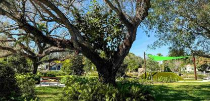 A park with big tree, green grass and blue sky