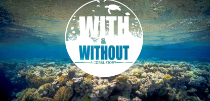 With or without flyer banner