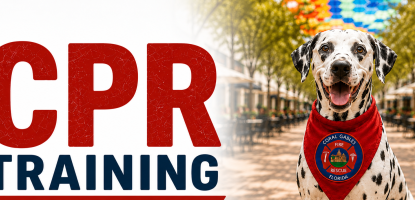 CPR training graphic with Dalmation dog