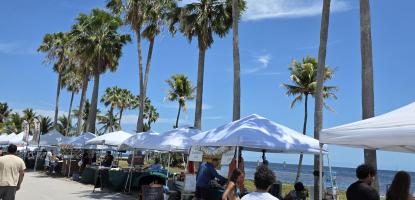White vendor tents line the waterfront at Matheson Hammock Market as visitors browse under palm trees near the beach and marina.