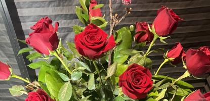 Looking down pov of red roses in a planter