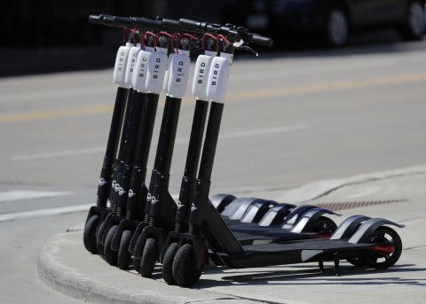 Electric Bird scooters lined up along street curb