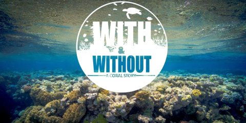 With or without flyer banner