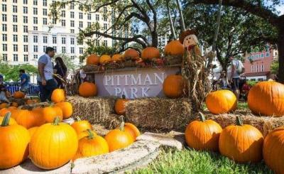 Pittman Park sign surrounded by pumpkins