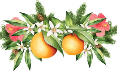 Oranges hang from arrangement of flowers and leaves