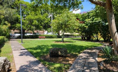 A tree casts shade on a grassy part of a park. The day is warm, sunny, and the blue sky is behind trees.