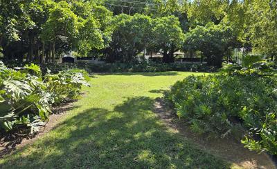 Alt text: Sunlit view of a green park with a grassy lawn surrounded by dense tropical trees and plants. The trees create a shaded canopy along the back, and bright sunlight highlights the open lawn under a clear blue sky.