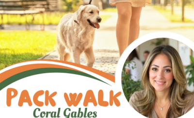 Melissa Castro profile below a golden retriever being walked on a sunny day with the title Pack Walk Coral Gables 