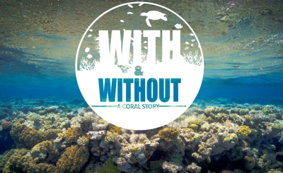 With or without flyer banner