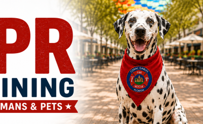 CPR training graphic with Dalmation dog