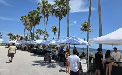 White vendor tents line the waterfront at Matheson Hammock Market as visitors browse under palm trees near the beach and marina.