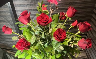 Looking down pov of red roses in a planter
