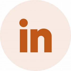 linkedin icon 2
